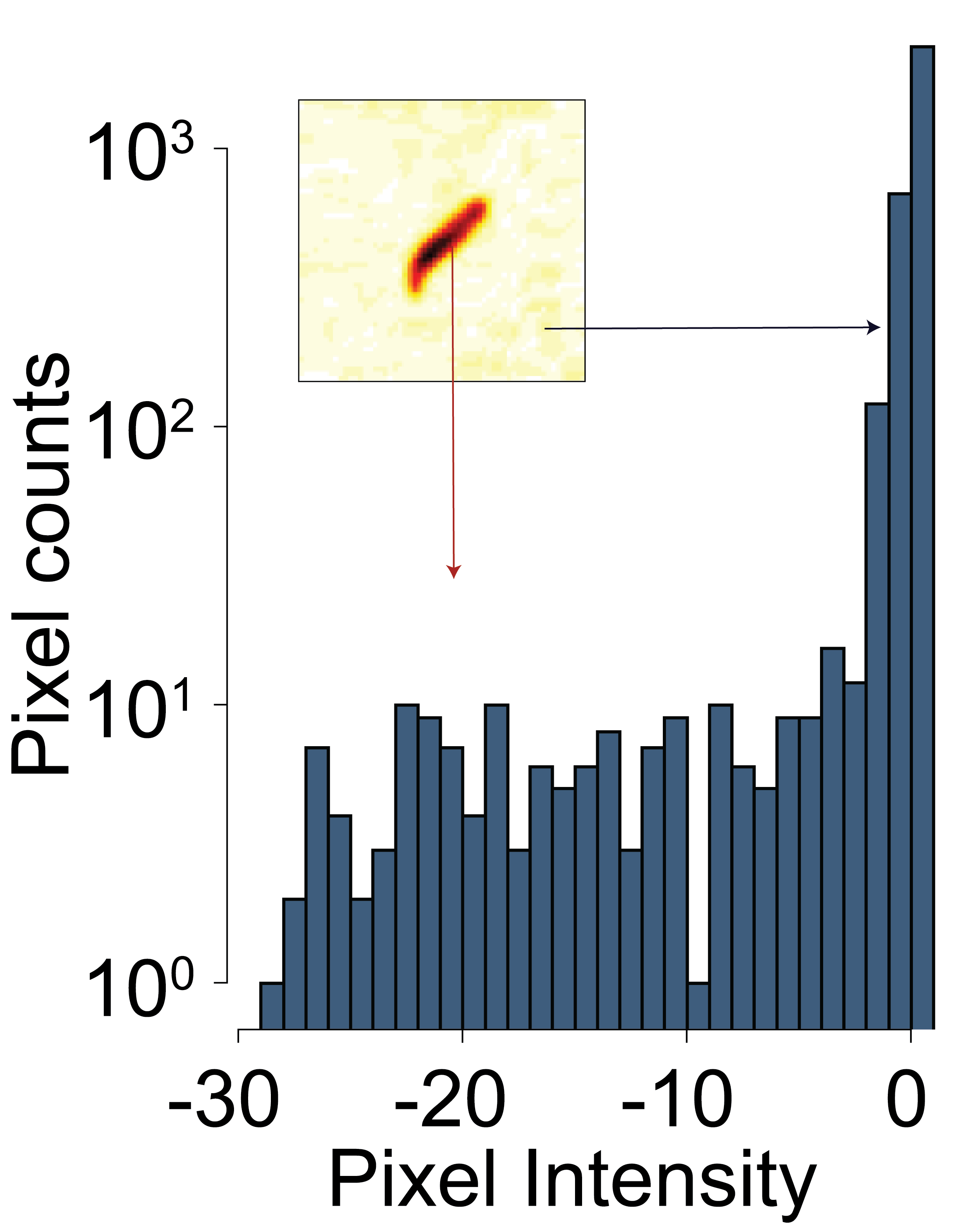 FigS4_Histogram.png